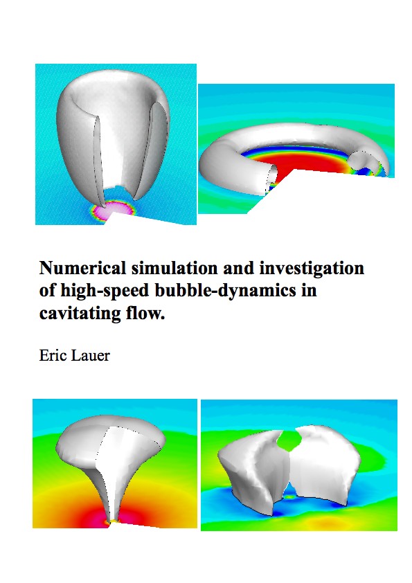 Dissertation in interface interface limit liquid numerical sharp simulation vapor